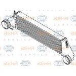BEHR Interkol Radyatörü 3.0D E53 M57N - Kod BHR8ML376777241 - OEM 17517791231