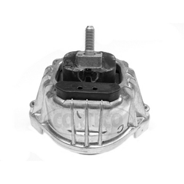 CORTEGO Motor Kulaği Sol-sağ N52-54 - Kod CRT80000693 - OEM 22116760330