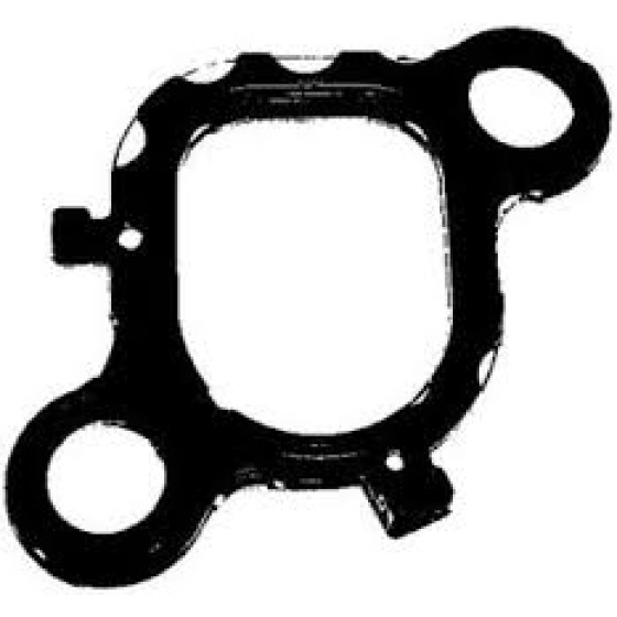Elring Manifold Contasi Emme Axd-axe-bac-blk-blj Volkswagen Touareg-t5 2.5TDİ - Kod ELR016.981 - OEM 070129717B ürün görseli