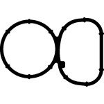 Elring Manifold Contasi Emme X4 N47D - Kod ELR529.960 - OEM 11617801438