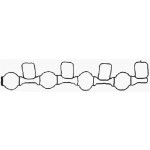 Elring Manifold Contasi Emme Caga A4 2.0TDİ - Kod ELR736.650 - OEM 03L129717