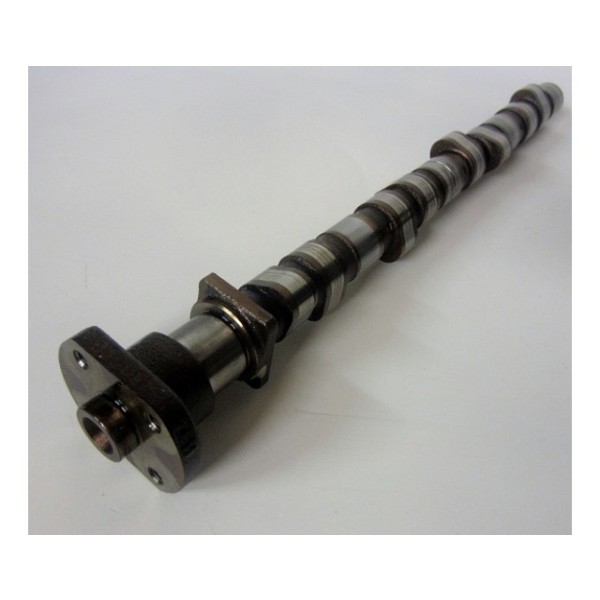 ESTAŞ Eksantrik Parçası - Mili M43 - Kod EST04029 - OEM 11311739176