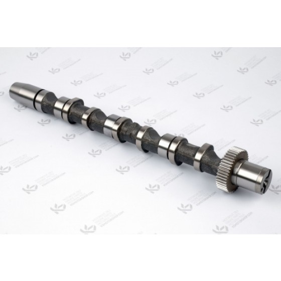 ESTAŞ Eksantrik Parçası - Mili Ake-bfc-cyl A4-6 Emme 1-3 2.5TDİ - Kod EST58036 - OEM 059109021BA ürün görseli