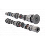 ESTAŞ Eksantrik Parçası - Mili Bmy-bwk-cava Volkswagen Golf 5 Eksoz 1.4TSİ - Kod EST58141 - OEM 03C109101BC