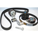 Triger Seti - Komple Volkswagen Polo-volkswagen Golf 4-volkswagen Bora Bcb Bby Bky Bbz Ahw Bud Motor (4 Rulman 2 Kayiş) - OEM 036198119E