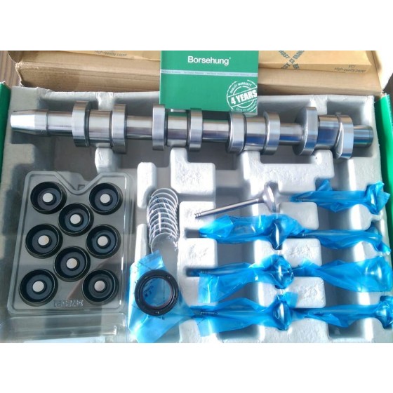 BORSEHUNG Subap - Eksantrik Mili+subap Tk+eksantrik Yataği+keçe+subap Fincan TK. T5-volkswagen Caddy-volkswagen Passat-a4-skoda Superb 1.9 Audi TDI Axb-axc-bjb-avf - Kod 038109100_BRS - OEM 038109100 ürün görseli