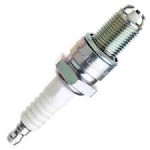 NGK Buji - OEM 101000033AG