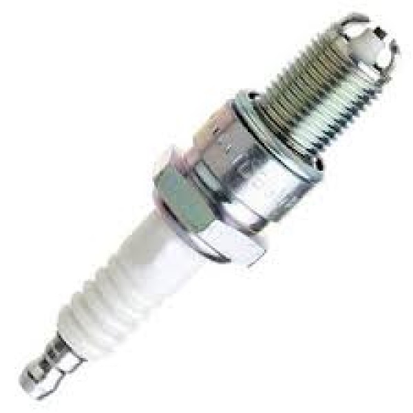 NGK Buji - OEM 101000033AG