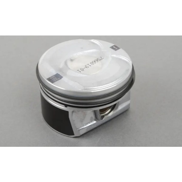 Yenmak Piston - Piston+segman - 77.00mm N14 87.71806 Std (4 Adedi) - Kod 4106.000 - OEM 11257566019