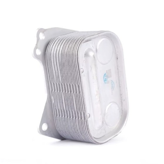 Bmw Yağ Soğutucu Radyatörü F20-f20 Lci-f21-f21 Lci-f30-f30 Lci N13 10-18 - Kod 4U.14380BW - OEM 11427625489 ürün görseli