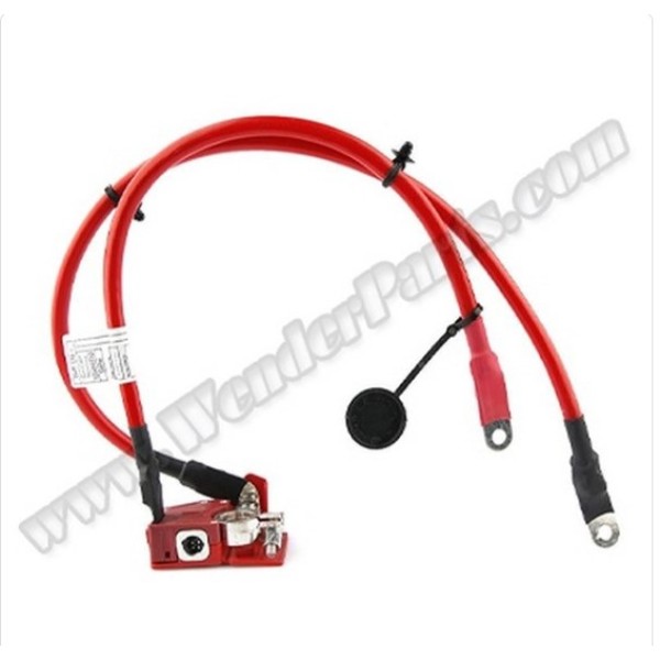 WENDER Akü Kablosu F30 F32 (Arti +) - OEM 61129259425