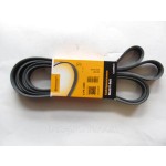 İthal Motor Kayışı - Klimali Crafter 2.5 Audi TDI 06 - Kod 6PK2585-WISCO - OEM 6PK2585