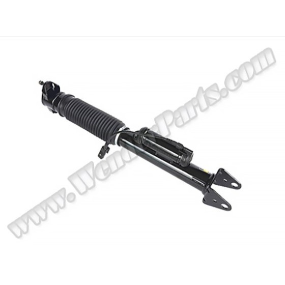 WENDER Amortisör - Airmatik Amortisör W166 X166 Arka; Adsli Araç 4-matic - OEM A1663200130 ürün görseli