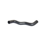 BLUEMAX Radyatör - Üst Hortumu Renault Megane I / Renault Scenic I 1.6 16V - Kod BL-11523 - OEM 7700426722