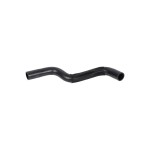 BLUEMAX Radyatör - Üst Hortumu Renault Megane I / Renault Scenic I 1.4 / 1.6 8 V - Kod BL-11524 - OEM 7700829989