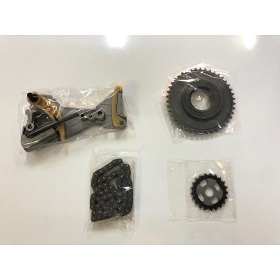 BLUEMAX Yağ Pompa Zincir Seti Volkswagen Passat-golf5-volkswagen Jetta-volkswagen Touran-volkswagen Scirocco-skoda Superb-a3 2.0TDI Bkp 05-10 - Kod BL-1186 - OEM 03G115124D ürün görseli