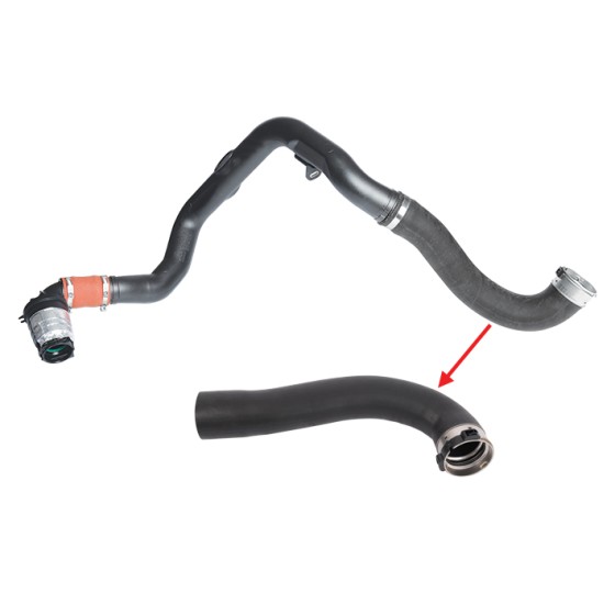 BLUEMAX Turbo Hortumu Plastik Boru Hariç OK Ile Gösterilen Büyük Hortum Renault Master Iii 2.3 DCI Opel Movano B 2.3 CDTI AC Nissan - Kod BL-12756 - OEM 82007305898200730576144601765R4420341GM931679864423370GM955185541446300Q1J ürün görseli