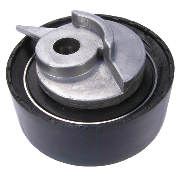 BLUEMAX Mazot Pompa Rulmani Sabit T4-lt35 2.5 Audi TDI - Kod BL-1494 - OEM 074130245