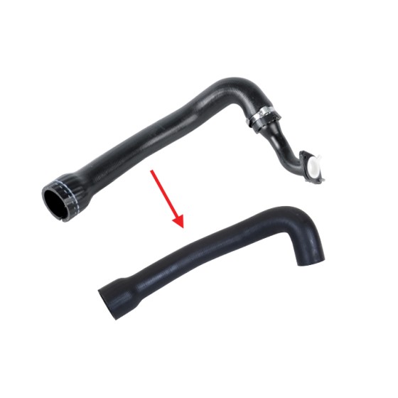 BLUEMAX Turbo Hortumu Metal Boru Hariç Fiat New Fiat Doblo 1.3 MULTIJET - Kod BL-14999 - OEM 518329795198410252008378 ürün görseli