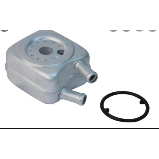 BLUEMAX Yağ Soğutucusu -Crafter Acv-anj-avr-bjk-akl-bjb-bjm-axb 2, 4 Audi TDI 2, 5 Audi TDI 8mo 376 - Kod BL-1503 - OEM 068117021B ürün görseli