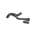 BLUEMAX Radyatör - Alt Hortumu Fiat Idea 1.3 MULTIJET Lancia Musa 1.3 MULTIJET - Kod BL-15211 - OEM 51754948