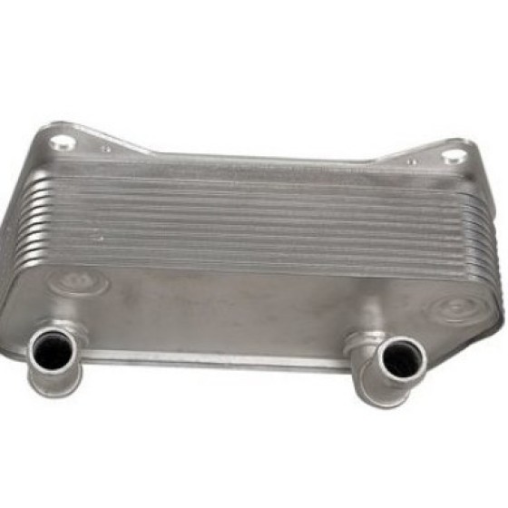 BLUEMAX Şanzuman Yağ Soğutucu Volkswagen Golf-volkswagen Jetta-volkswagen Passat-volkswagen Caddy-a3 BM (DSG) 04-13 8mo 376 - Kod BL-1543 - OEM 02E409061B ürün görseli