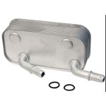 BLUEMAX Şanzıman Parçası - Bmw Şanziman Yağ Soğutucu Radyatörü E46-83 - Kod BL-1555 - OEM 17227505826