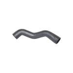 BLUEMAX Turbo Hortumu Peugeot Expert I - II 2.0 HDI Citroen Jumpy I - II 2.0 HDI - Kod BL-17570 - OEM 0382.Y1