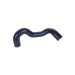 BLUEMAX Radyatör - Üst Hortumu Ford Transit V 363 2.2 TDCI - Kod BL-19548 - OEM BK318260DA1814740
