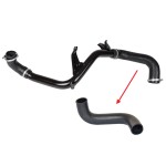 BLUEMAX Turbo Hortumu OK Ile Gösterilen Büyük Hortum Ford Focus II / Ford C Max I 1.6 TDCI. Volvo C 30 / S 40 / V 50 1.6 D. - Kod BL-19948 - OEM 6M516C646GC16721896M516C646GA143941031273520