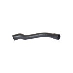 BLUEMAX Opel Vectra B 1.6 / 1.8 16V 96 / 02 Model Yakit Depo Havalandirma Giriş Hortumu - Kod BL-21522 - OEM GM90499641