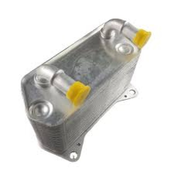 BLUEMAX Yağ Soğutucu Radyatörü Audi TT / Volkswagen Golf IV 2.0tfsi / 3.2 V6 / 3.2 VR6 - Kod BL-2552 - OEM 02E409061C ürün görseli