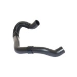 BLUEMAX Radyatör - Alt Hortumu Audi A3 / S3 2.0 Audi TDI Volkswagen Golf V / Volkswagen Golf Plus 2.0 Audi TDI Skoda Octavia II - Iii / Super B II 2.0 Audi TDI - Kod BL-27246 - OEM 1K0121156DN