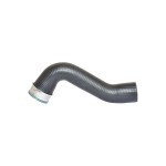 BLUEMAX Turbo Hortumu Volkswagen Golf 4 / Volkswagen Passat / Volkswagen Jetta / Volkswagen Touran / Eos 1.4 06 / 13 - Kod BL-27648 - OEM 1K0145832F