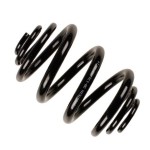 BLUEMAX Helezon Yayi Arka Takim Sağ Sol T4 - Kod BL-3062 - OEM 701511105A
