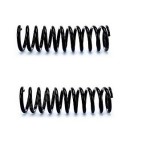 BLUEMAX Helezon Yayi Arka E60-e60 Lci Sağ Sol Takim - Kod BL-3064 - OEM 33536761218