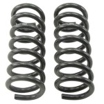 BLUEMAX Helezon Yayi Arka G30 Sağ Sol Takim - Kod BL-3079 - OEM 33536879958