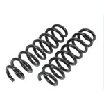 BLUEMAX Helezon Yayi Arka G20 Sağ Sol Takim - Kod BL-3082 - OEM 33536889964