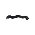 BLUEMAX Radyatör - Mercedes-benz C240 / C320 00 / 07 Model Radyatör Alt Hortumu - Kod BL-33104 - OEM 2035010282