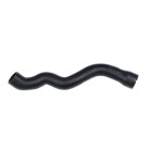 BLUEMAX Radyatör - Alt Hortumu Mercedes-benz-benz E-serisi (W210) Mercedes-benz-benz E-serisi Platform Şasi (VF210) Mercedes-benz-benz E-serisi T-model (S210) - Kod BL-33205 - OEM A2105012782