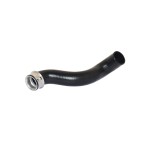 BLUEMAX Radyatör - Mercedes-benz 211 E270 CDI 02 / 08 Model Radyatör Alt Hortumu - Kod BL-33538 - OEM 2115011082