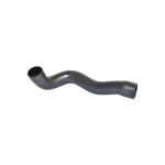 BLUEMAX Radyatör - Bmw Radyatör Alt Hortumu Z3 2.8 - 3.2 24V E36 97 / 02 - Kod BL-35131 - OEM 11531436988