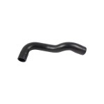 BLUEMAX Radyatör - Bmw Radyatör Çikiş Hortumu E36 M43 - Kod BL-35462 - OEM 11531247203