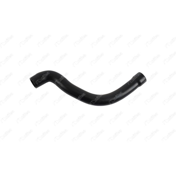 BLUEMAX Radyatör - Bmw Radyatör Giriş Hortumu E36 318 Bmw 316i M43 - Kod BL-35538 - OEM 11531743192