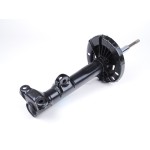 Ön Amortisör - BM 00-07 - Kod BSG 60-300-034 - OEM A2033206530