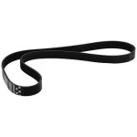 CONTI Sarj Kayişi - OEM CNT6PK1033