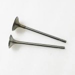 Güneş Subap - Takimi Volkswagen Transporter T6-t7-crafter-man Tge Cxeb-cxec-cxfa-cxga-cxha-cxhb-daua-daub-dava 2, 0 Audi TDI - Kod GNS6050x8-6051x8 - OEM 04L109601H