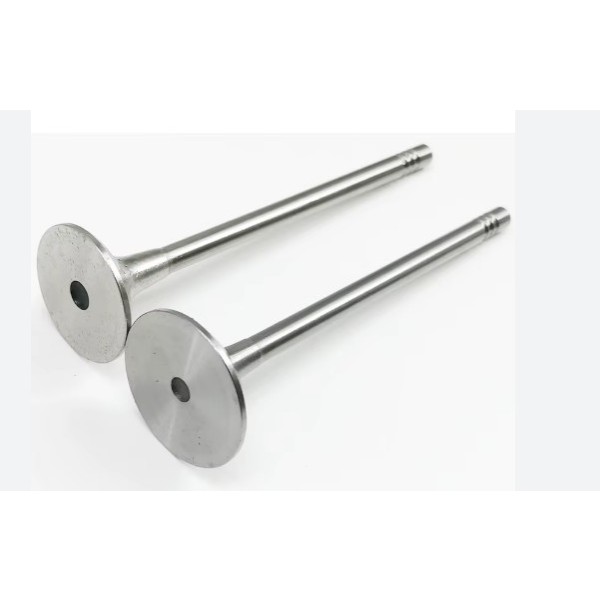 İthal Subap - Gaydi 5 MM - Kod GSK-G6513 - OEM 11127797712