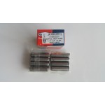 Gaysan Subap - Gaydi Takim IN / EX Opel Astra - Opel Corsa 1.4 Eng. C14SE 7mm 8 IN / EX - Kod GT450.03.01