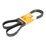 Gates V Kayiş - Kod GTS6PK1613 - OEM 6PK1613
